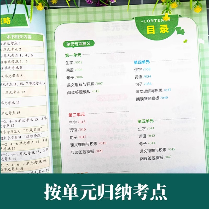 包书皮大揭秘：透明磨砂16K vs A4，小学生课本全覆盖，谁才是你的最佳拍档？