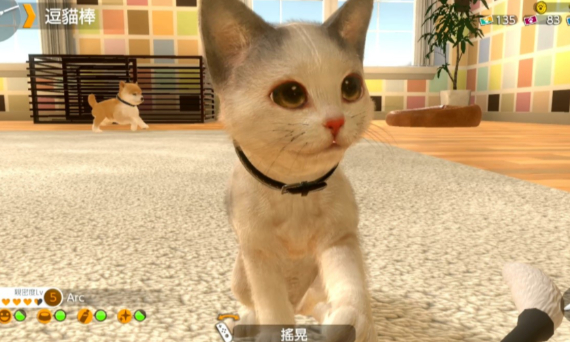 宠物养成类游戏大全