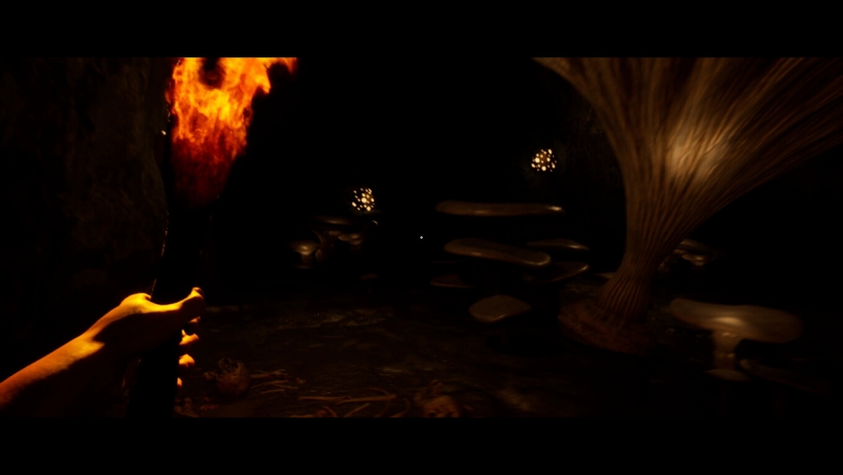 恐惧之森免安装绿色中文版[官方中文]9