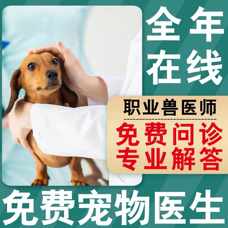 拉布拉多的性格特点是什么？适合家庭养吗？