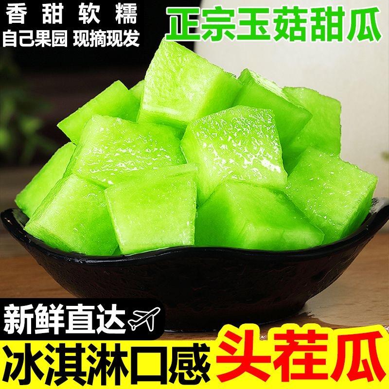 正宗山东玉菇甜瓜：当季脆甜蜜瓜，唤醒味蕾的甜蜜风暴！