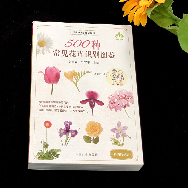 正版书籍推荐：身边的970种花卉识别速查图鉴，轻松掌握花色与季节的秘密！