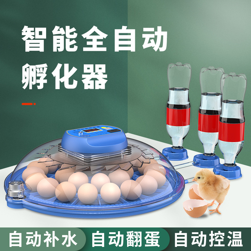 宠物鸟孵蛋器保温箱：零天手养幼鸟恒温箱，鹦鹉便携水床孵化箱，让爱鸟无忧成长！