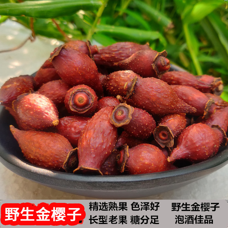 广西瑶乡野生金樱子：泡酒神器，糖罐子里的秘密武器！
