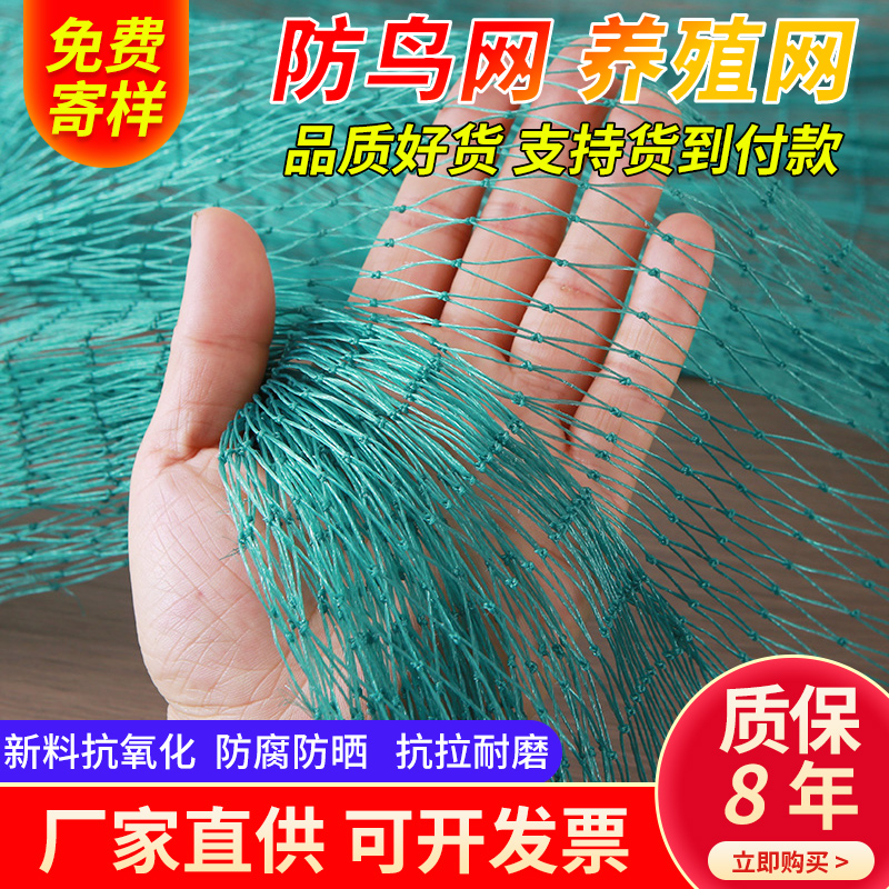 果园必备神器！防鸟网真的太香了！果树大棚防护新宠，种果人必入！