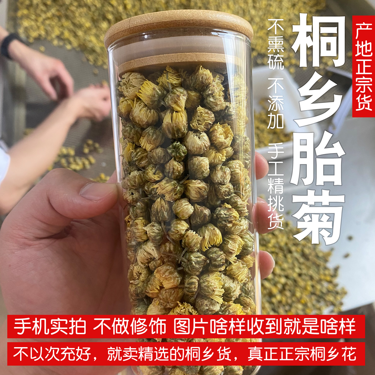 正宗不熏硫桐乡胎菊菊花茶，特杭级玻璃罐装王者归来，搭配枸杞白菊，健康养生新选择！