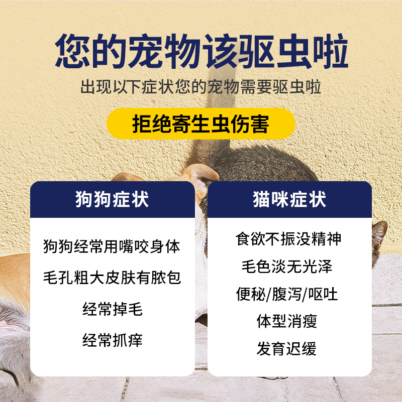 灭虫宁滴剂A型：宠物除虫神器，让喵星狗子远离烦恼虫虫！✨