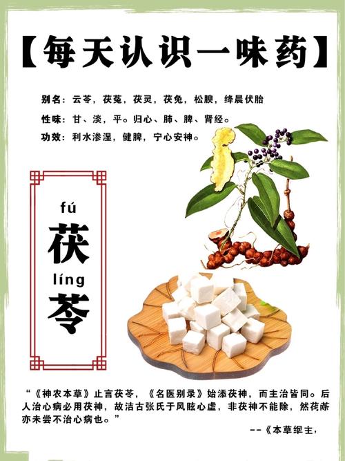 茯苓的功效与作用,中医药宝库中的瑰宝