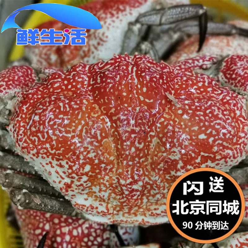鲜活皇帝蟹：帝王级享受，上海北京同城闪送，4-15斤新鲜直达！✨