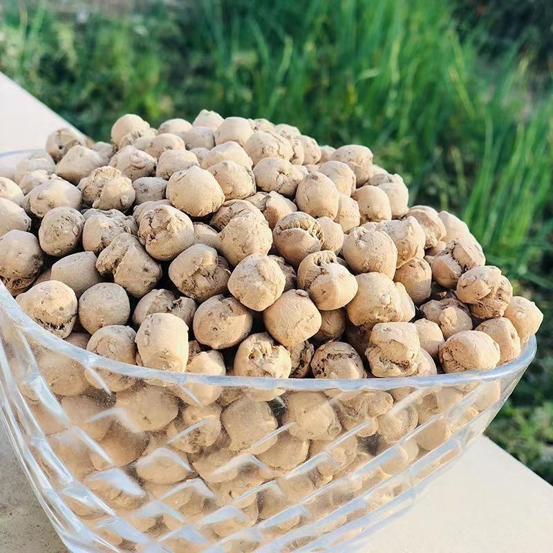 山西特产土炒馍&amp;陕西棋子豆：舌尖上的家乡味，一口咬下全是回忆！