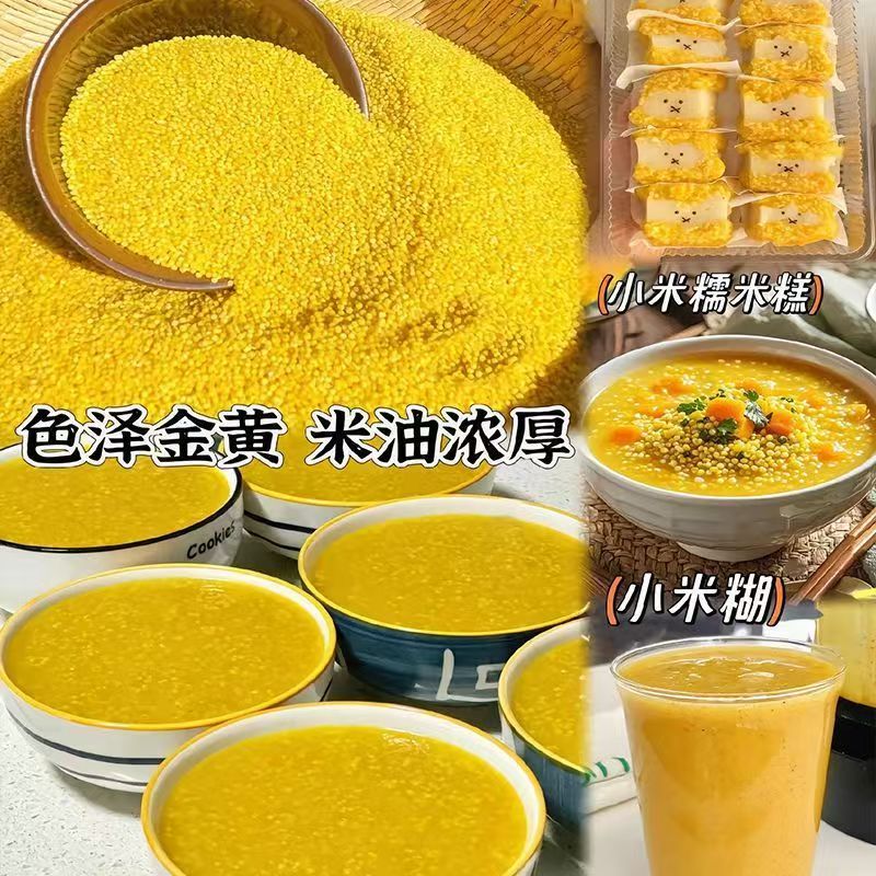 弘毅六不用生态农场：新小米的绿色革命，1斤/份，你吃对了吗？