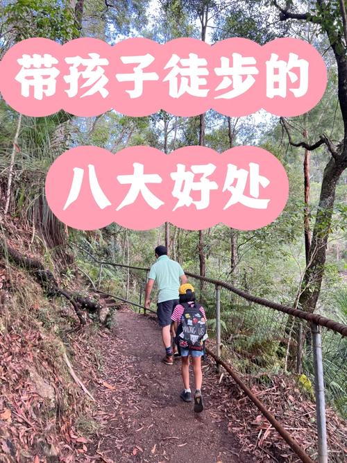 Way To The Woods,探索自然的奥秘——Way To The Woods的徒步之旅