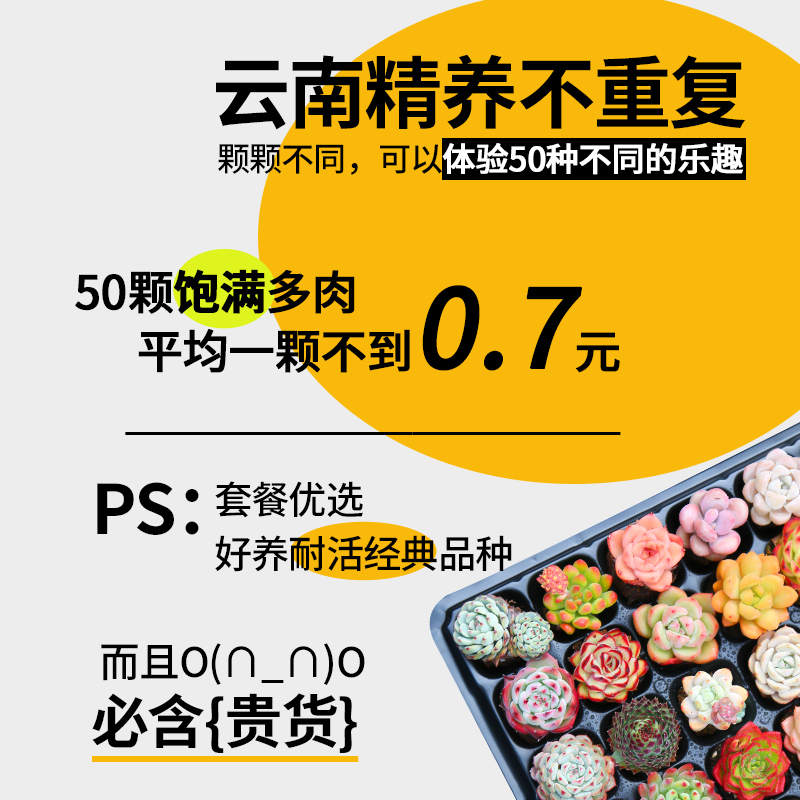 雅思大作文逻辑链与语料全攻略：八大话题思路解析，快速上手不迷路！