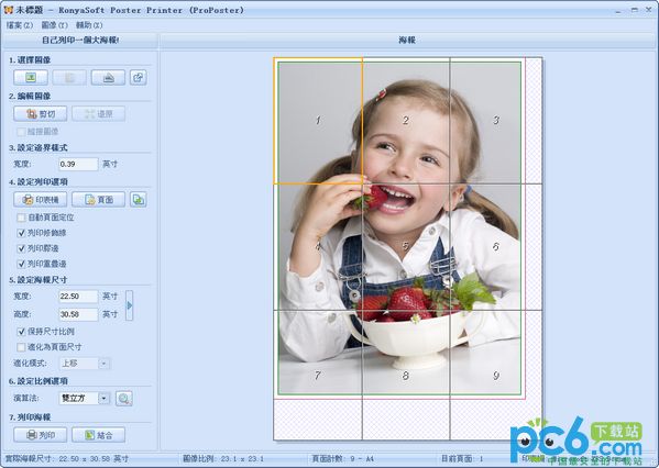 巨型海报打印工具(RonyaSoft Poster Printer)v3.01.39中文版