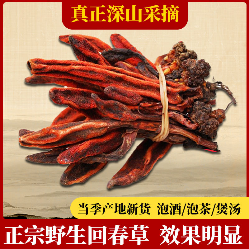 回春草·野生云南深山新货正品500g顶天柱肉苁蓉：男人的秘密武器，泡酒泡茶的神奇草药！