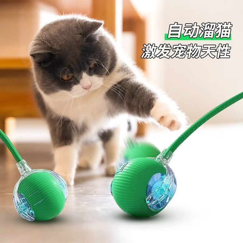 狗狗玩具自动遛狗球：宠物小狗自嗨解闷神器，智能逗狗跳跳球来袭！