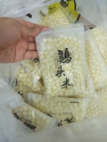 苏州自家农场澄湖水八仙鸡头米：新鲜芡实，机剥1斤，可来农场参观，带你走进江南美食的秘密花园！