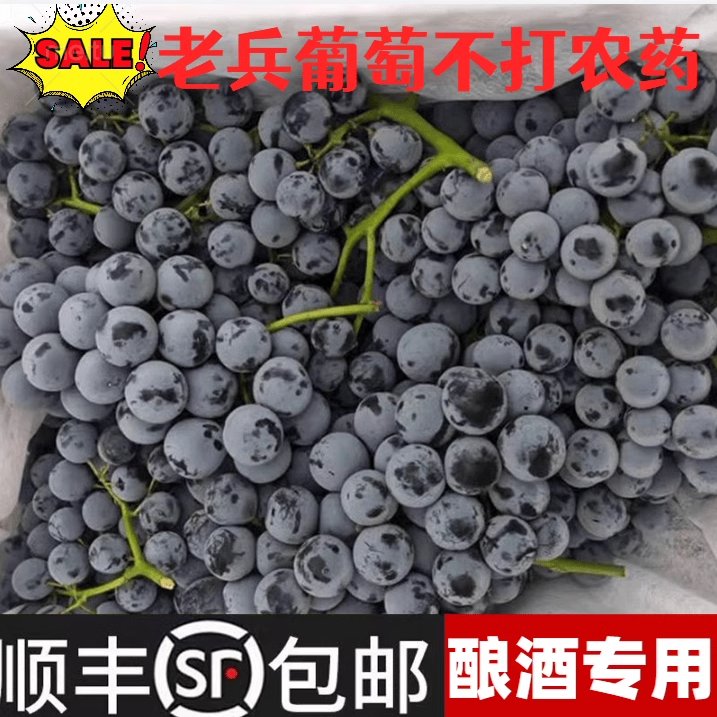 20斤新鲜赤霞珠葡萄：开启你的私人酿酒之旅