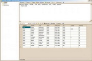 FreeSQL(64bit)2.14.11