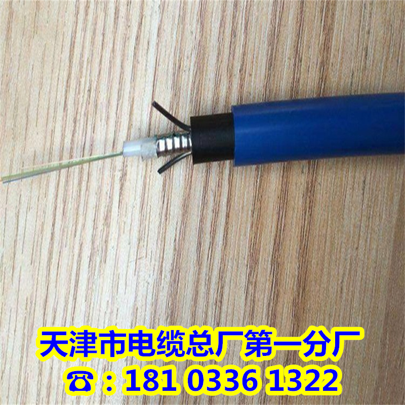 矿用阻燃通信光缆MGTSV2芯46812BMGXTSV：煤井下的安全通信守护神！