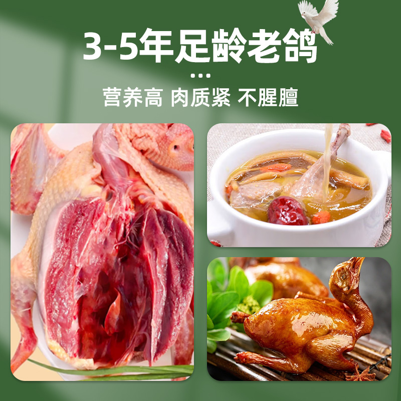 农家散养放山老鸽子：鲜嫩5年老白鸽，顺丰速递，纯粮食喂养的美味盛宴！