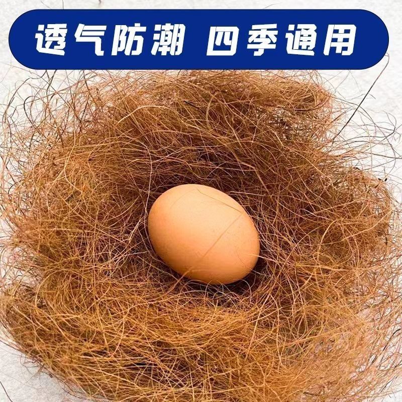 鸟窝垫料大揭秘：椰丝、鹦鹉保暖草丝、草编棕丝、窝鼠繁衍木屑，哪种才是最佳选择？