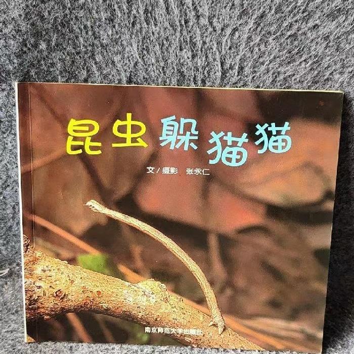 昆虫躲猫猫：张永仁带你走进自然界的神秘游戏！