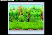 Amago Fish School Screensaver1.0
