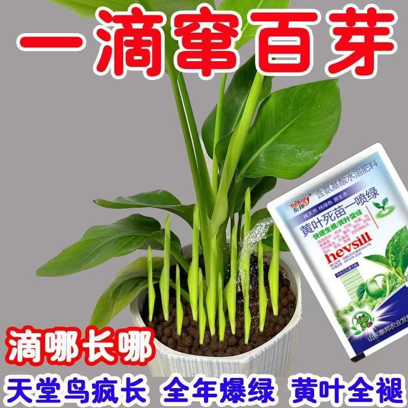 盒马生鲜超市学则路店：吃货天堂还是智商税？揭秘真实体验！