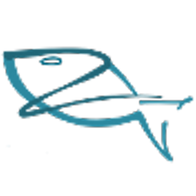 BlueBream1.0