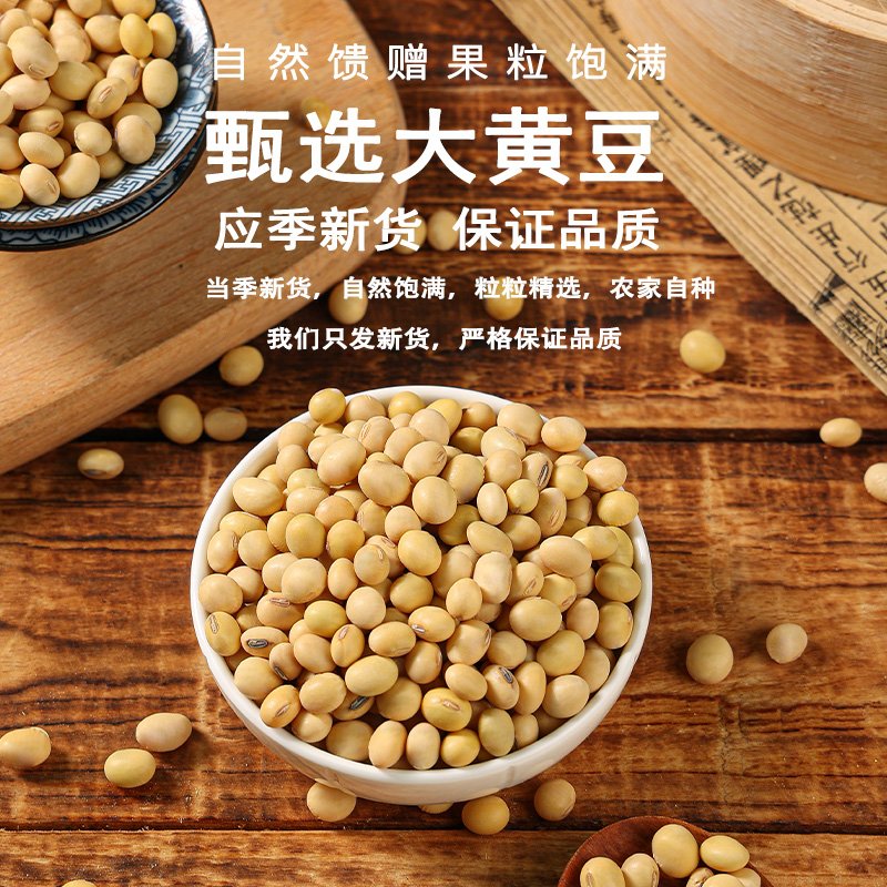 豆芽专用黄豆：农家自种500g，开启健康绿色生活