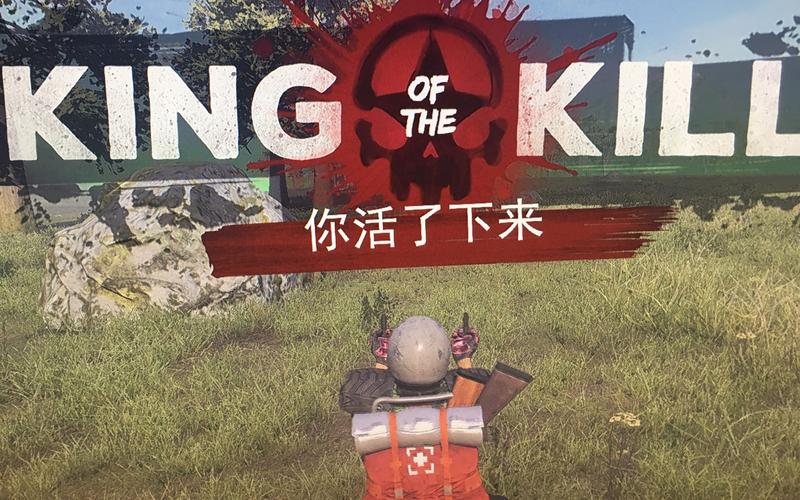 h1z1卡盟,解锁游戏新境界
