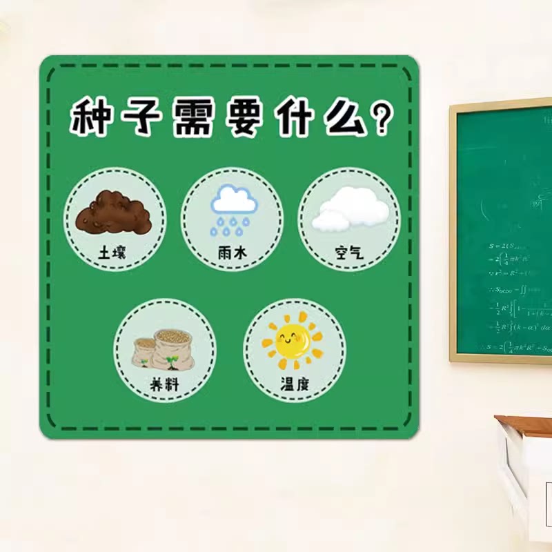 植物知道生命的答案：博库网独家首发，揭秘自然界的神奇法则
