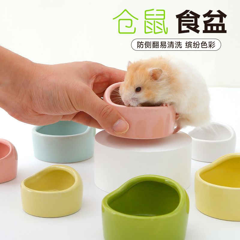 仓鼠金丝熊食盆大揭秘！给你的小可爱最好的饮食体验