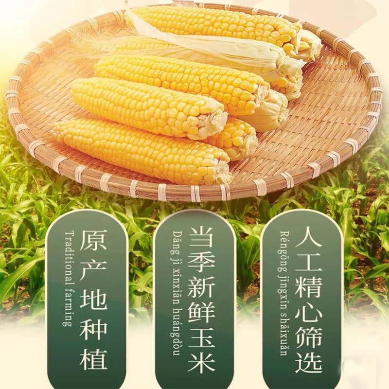 泰国原装进口帝门玉米粒罐头，解锁甜玉米的N种吃法！