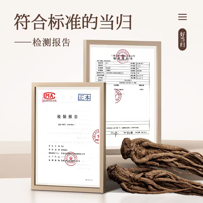 当归500g岷县全当归整根：甘肃特级野生中药材，你的养生秘籍找到了吗？