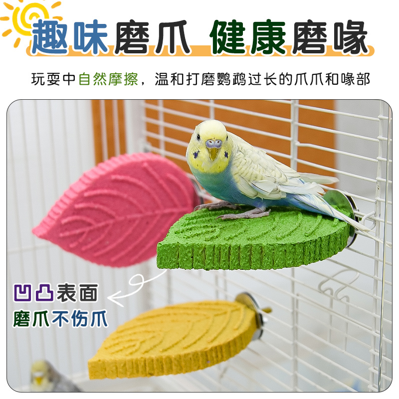 鹦鹉站杆与磨爪棒：如何打造你的爱鸟乐园？