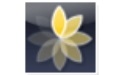 Express Animate3.02 官方版
