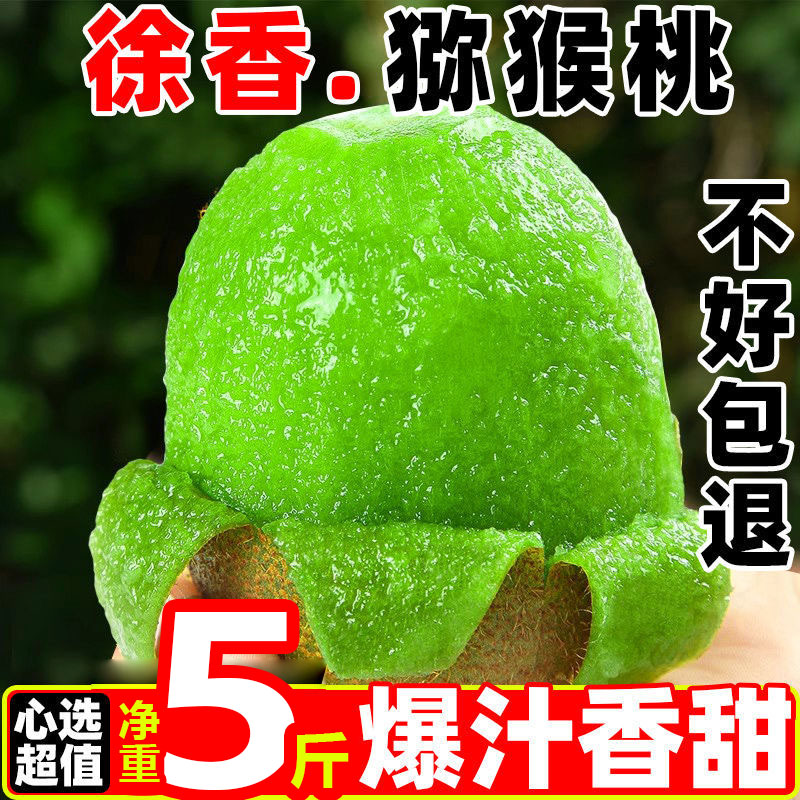 猕猴桃树苗多少钱一颗？种植成本与选购技巧全解析