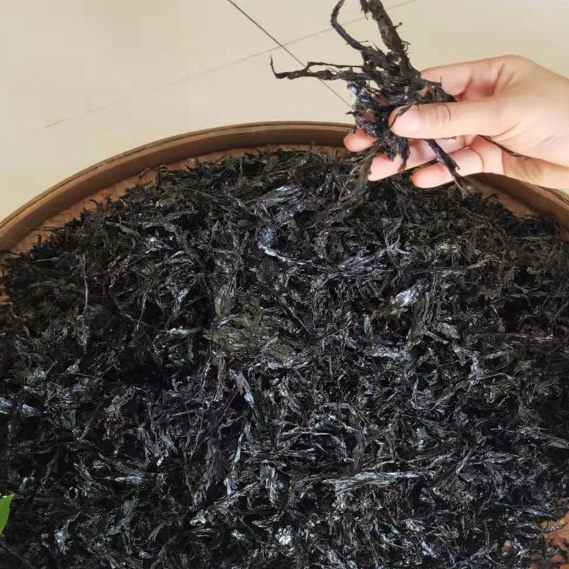 霞浦头水紫菜真香！500g无沙免洗野生紫菜，煮汤秒变高级感！这波不买亏大了