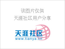 建筑土地承包权转让合同