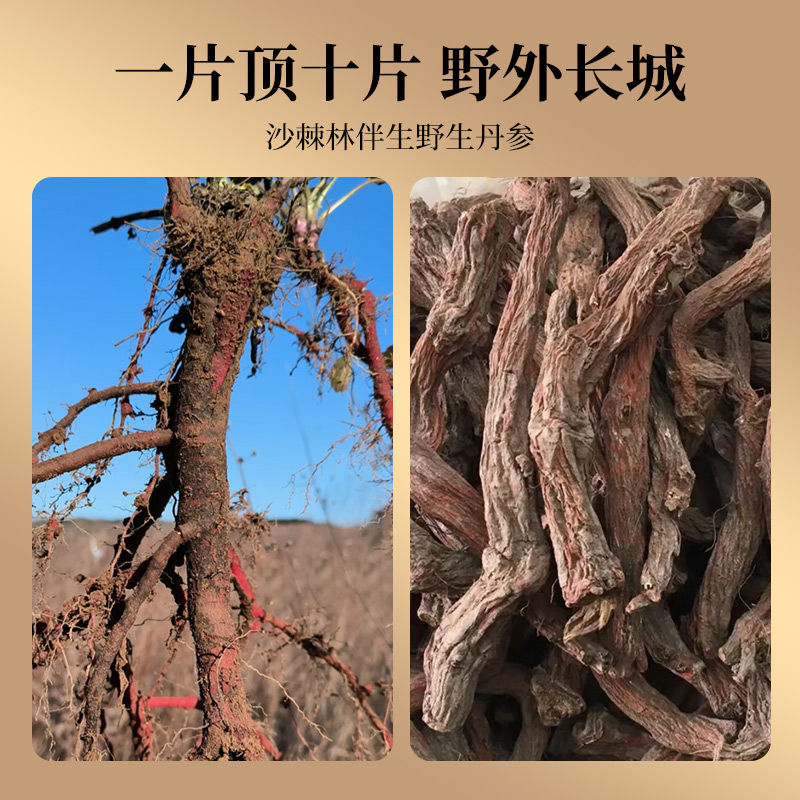 丹参片官方旗舰店正品野生紫丹参茶粉500g，泡水养生新风尚！