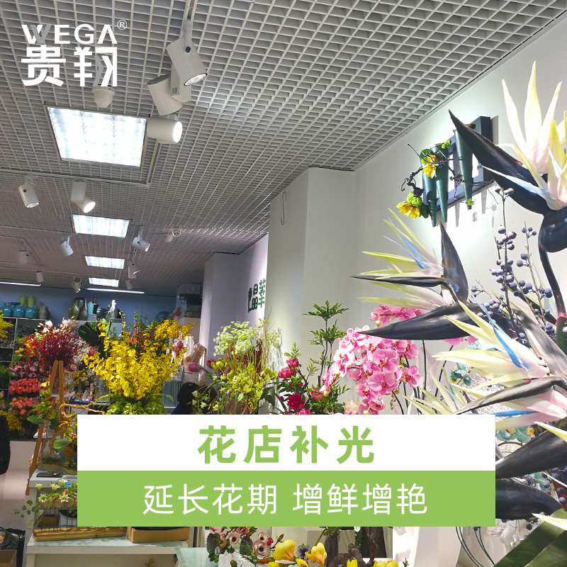 植物生长灯真香警告！龙舌兰雨林缸补光神器，阳台变绿野仙踪