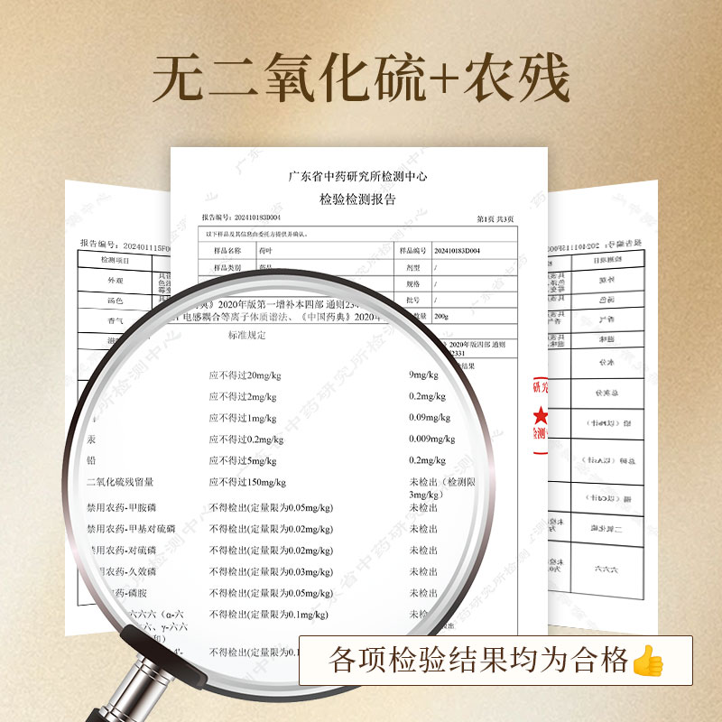 广东省中药研究所荷叶茶：陈皮山楂冬瓜玉米须刮油茶，搭配神器大公开！