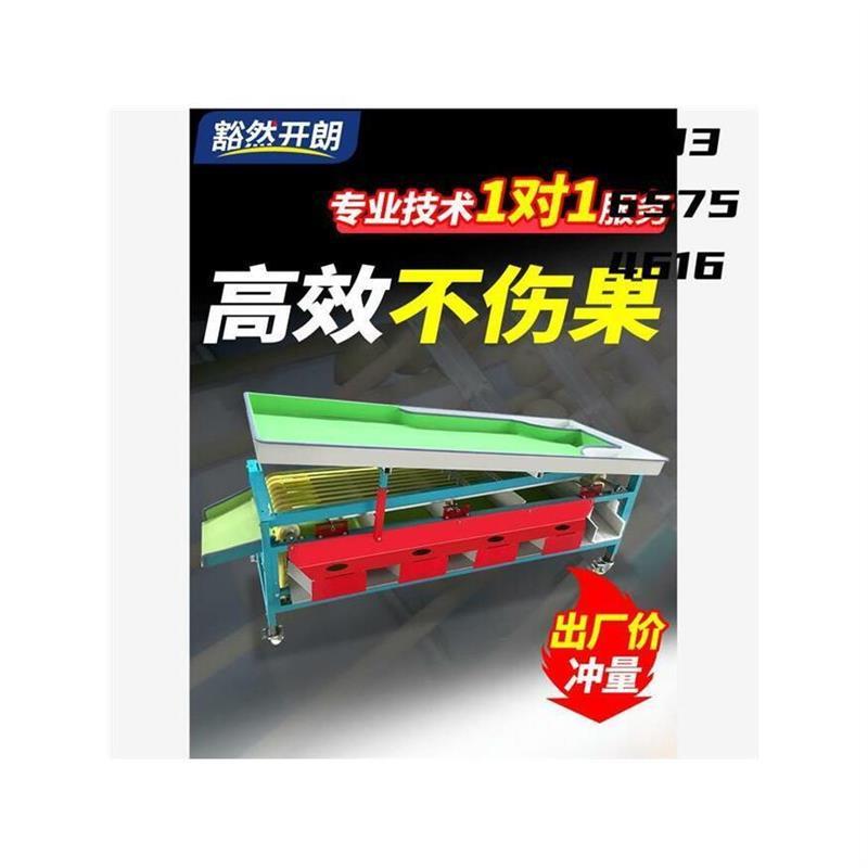 全自动选果机：水果分拣革命，槟榔樱桃圣女果山竹的福音！