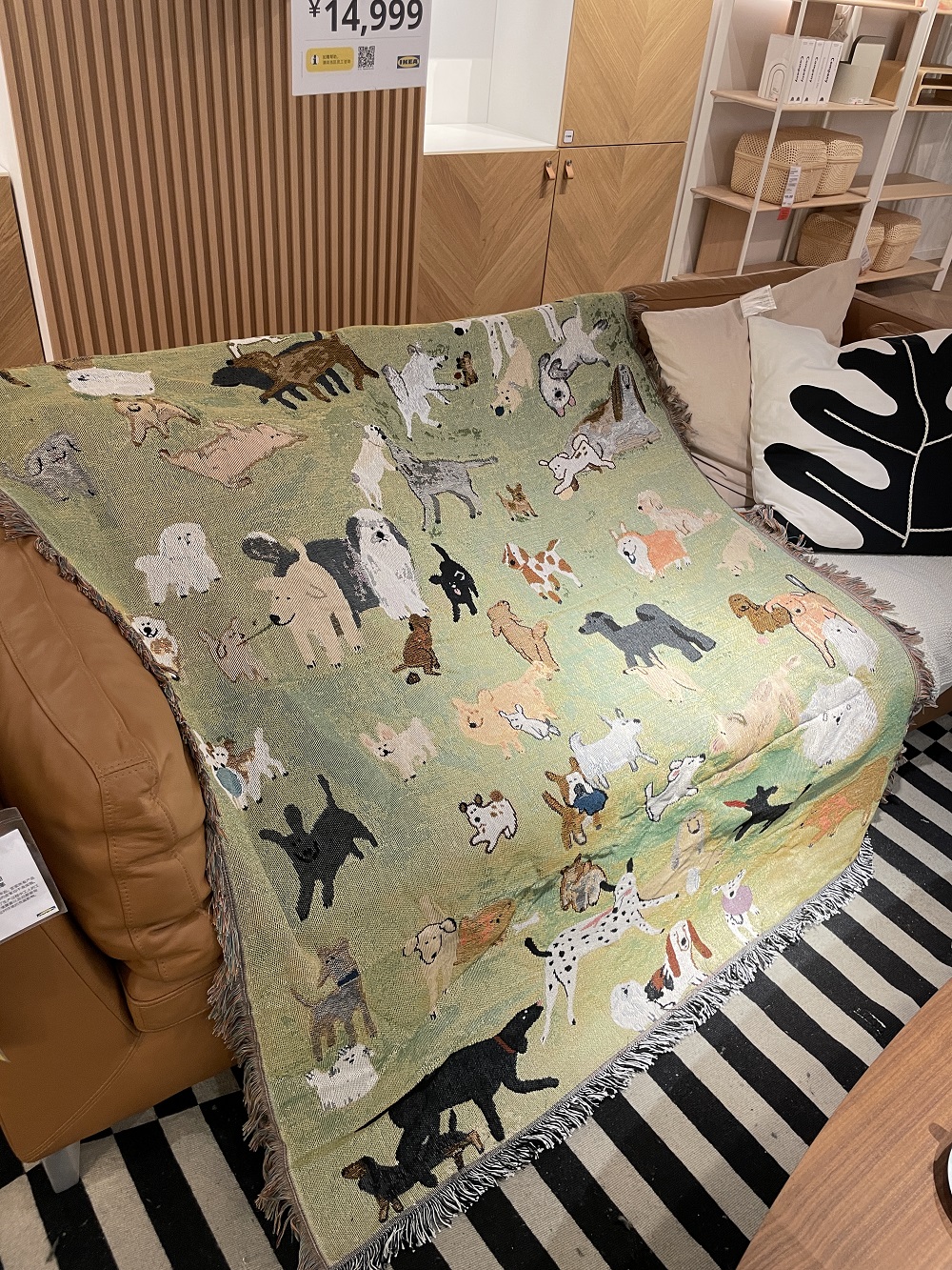 宠物喂药神器！狗狗猫咪都爱不释手，懒人铲屎官必备！