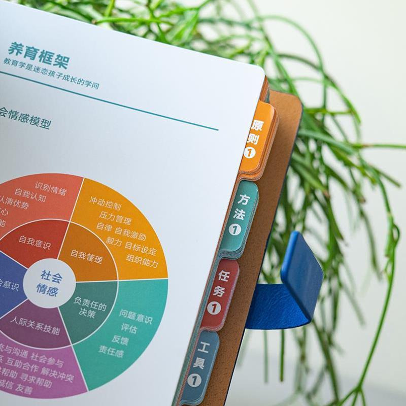 别慌！钉钉网页登录入口进不去？手把手教你解决，拯救你的工作日！
