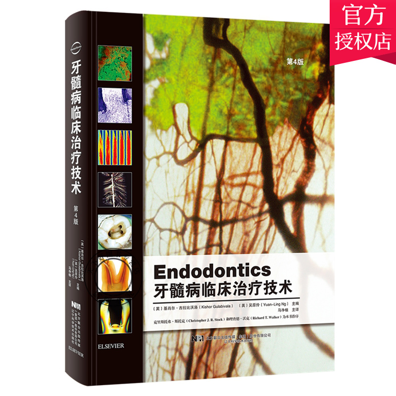 正版牙髓病治疗宝典，牙医必备！✨