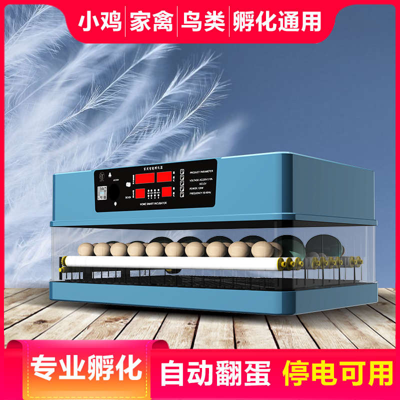 迷你孵化机：在家轻松孵化柯尔鸭鹅鸟，开启亲子科学实验新体验！
