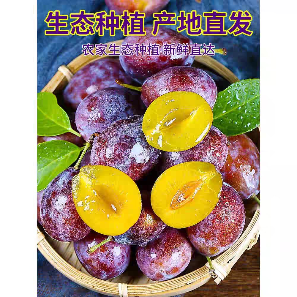 顺丰包邮西梅新鲜水果，香甜多汁当季水果应季李子新货速发整箱包邮，尝鲜必备！